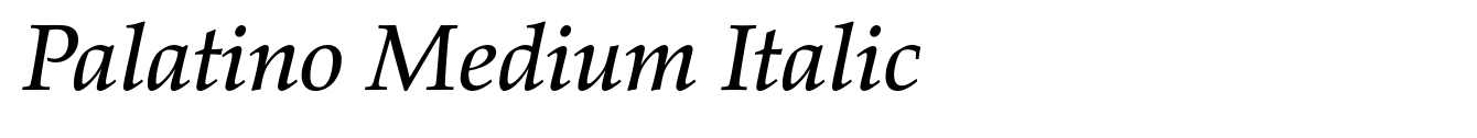 Palatino Medium Italic image
